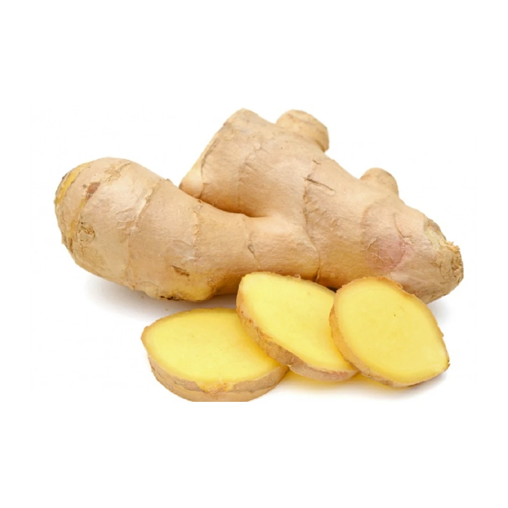 Gengibre